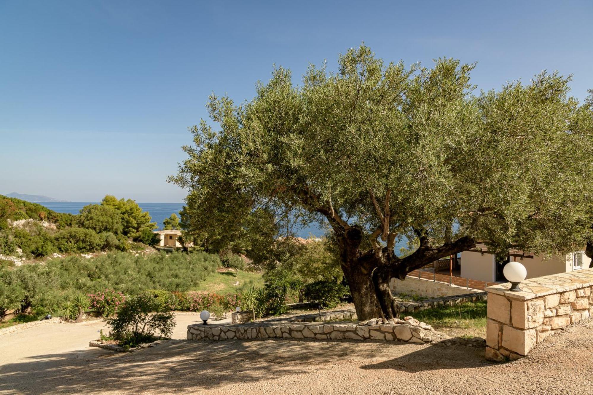 Villa Mare Studios Skinária Extérieur photo